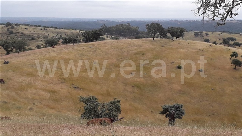 Herdade / Mértola, Mosteiro
