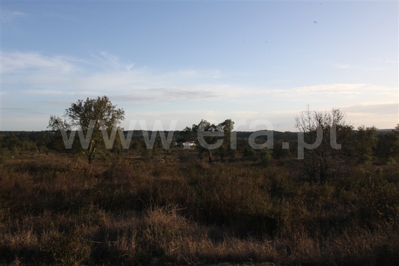 Herdade  Montemor-o-Novo, Cabrela - 884385 - 2