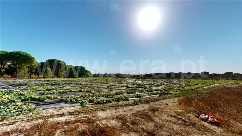 Armazém T7 Montijo, Pegões - 1513559 - 2