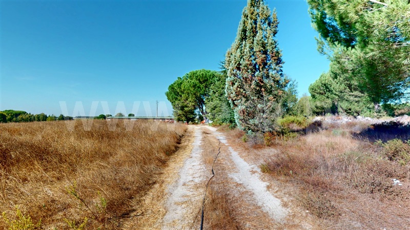 Armazém T7 Montijo, Pegões - 1513559 - 3