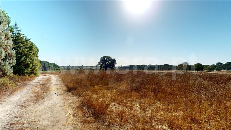 Armazém T7 Montijo, Pegões - 1513559 - 4