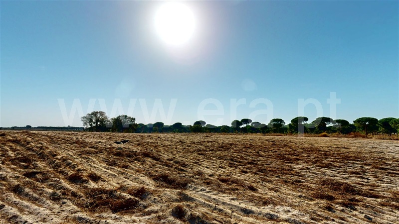 Armazém T7 Montijo, Pegões - 1513559 - 5