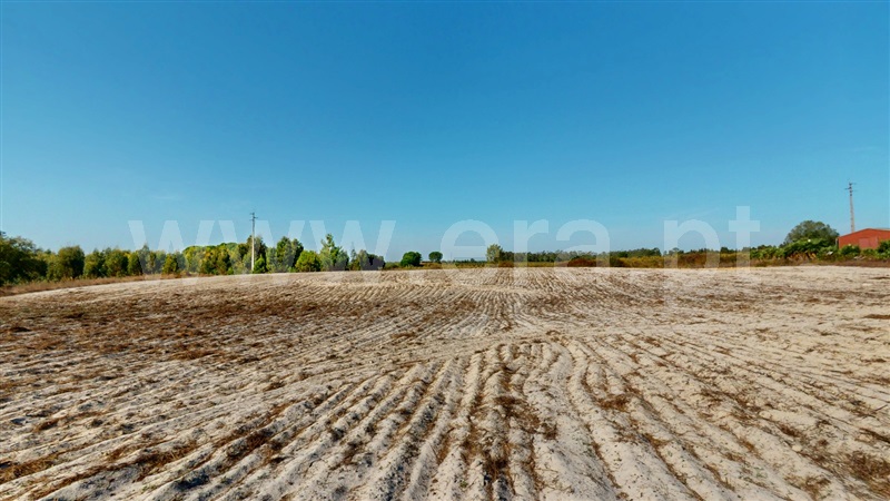 Armazém T7 Montijo, Pegões - 1513559 - 7