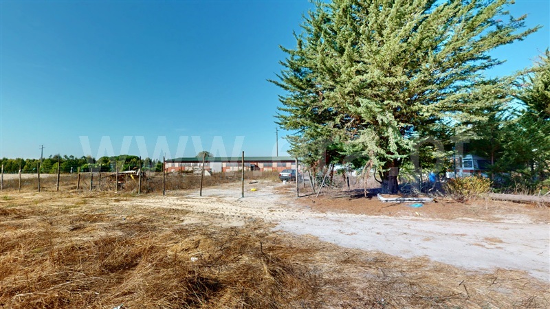 Armazém T7 Montijo, Pegões - 1513559 - 8