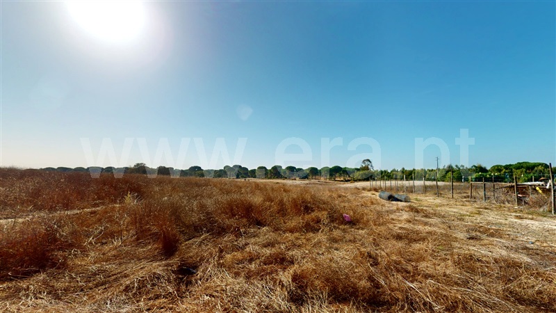 Armazém T7 Montijo, Pegões - 1513559 - 9