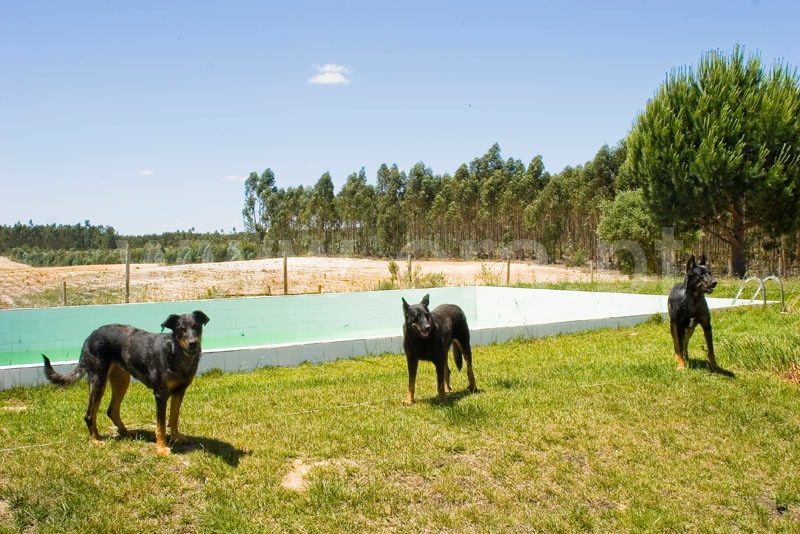 Armazém T7 Montijo, Pegões - 1513559 - 10