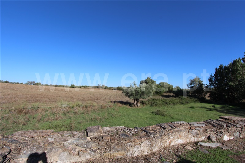 Herdade  Mourão - 1273213 - 12