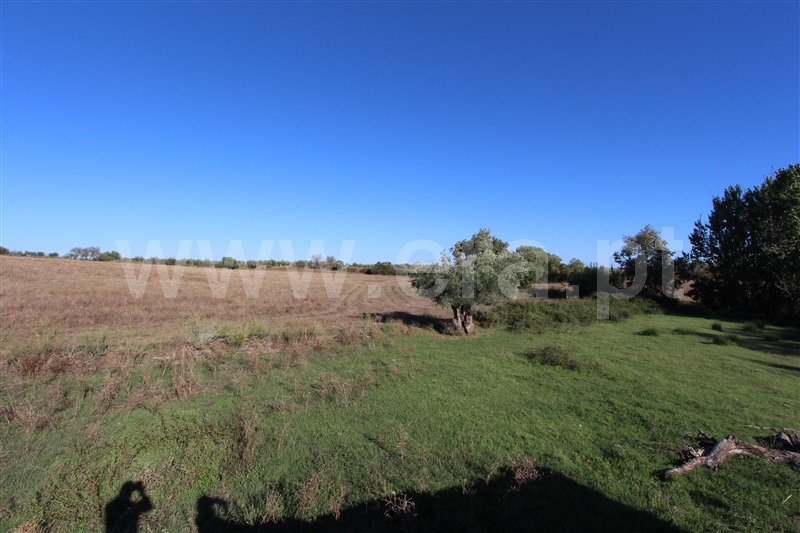 Herdade  Mourão - 1273213 - 14