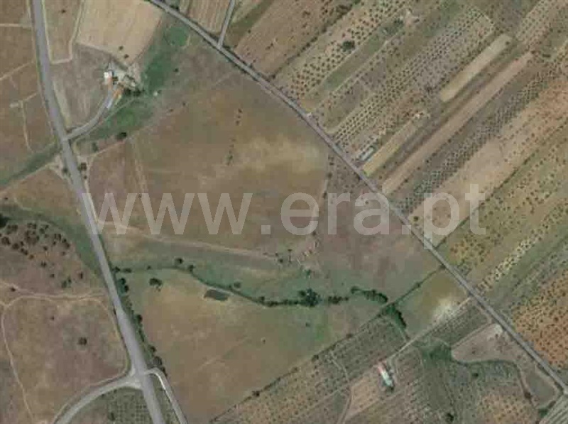 Herdade  Mourão - 1273213 - 26