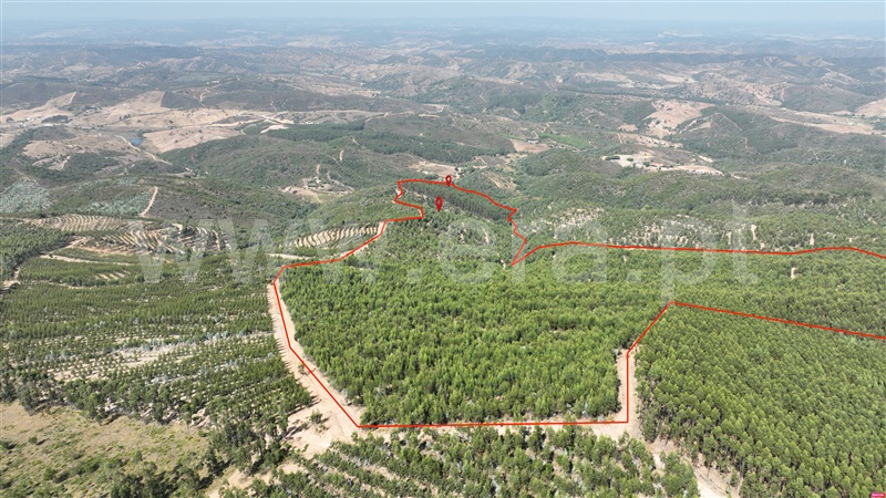 Herdade  Odemira, Casa Nova da Cruz - 1496533 - 7