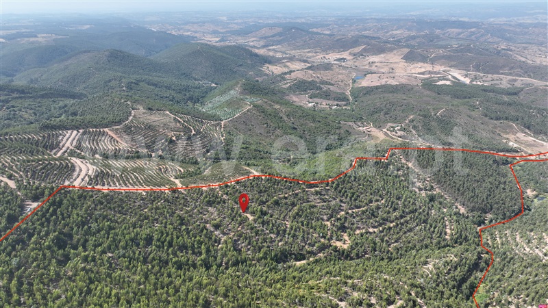 Herdade  Odemira, Casa Nova da Cruz - 1496533 - 9