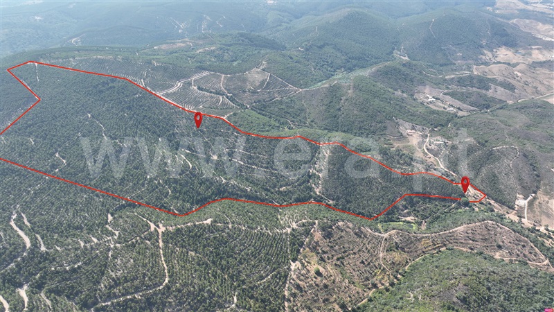 Herdade  Odemira, Casa Nova da Cruz - 1496533 - 10