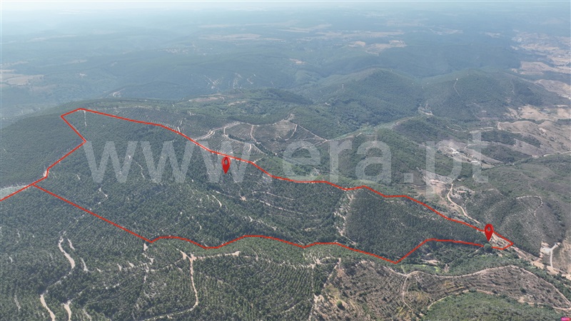 Herdade  Odemira, Casa Nova da Cruz - 1496533 - 11