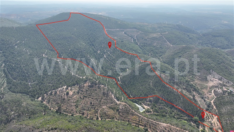 Herdade  Odemira, Casa Nova da Cruz - 1496533 - 12