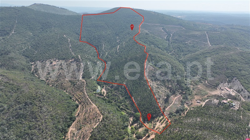 Herdade  Odemira, Casa Nova da Cruz - 1496533 - 13