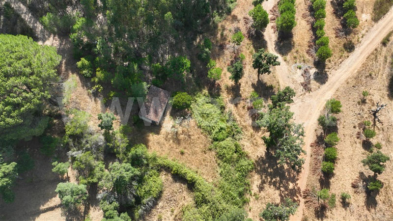 Herdade  Odemira, Casa Nova da Cruz - 1496533 - 15