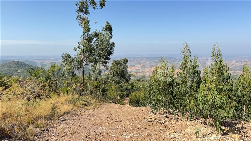 Herdade  Odemira, Casa Nova da Cruz - 1496533 - 23