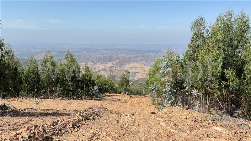 Herdade  Odemira, Casa Nova da Cruz - 1496533 - 24