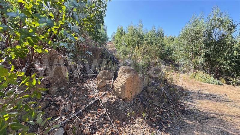 Herdade  Odemira, Casa Nova da Cruz - 1496533 - 26