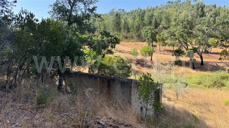 Herdade  Odemira, Casa Nova da Cruz - 1496533 - 43