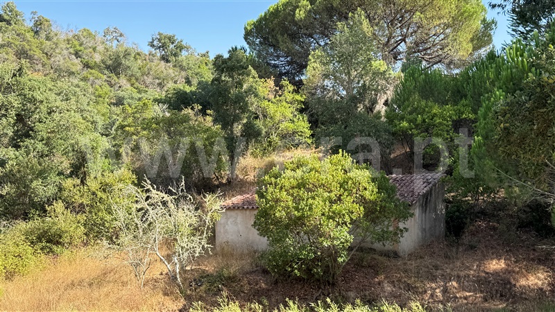 Herdade  Odemira, Casa Nova da Cruz - 1496533 - 46