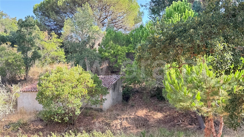 Herdade  Odemira, Casa Nova da Cruz - 1496533 - 47