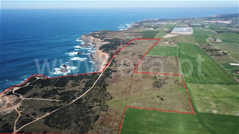 Herdade / Odemira, Cavaleiro