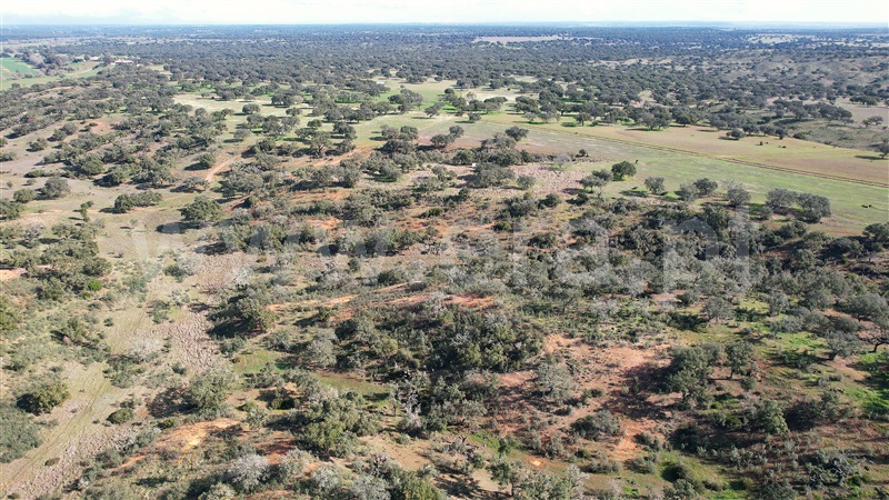 Herdade  Odemira, Tisnada - 1459440 - 9