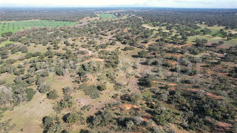 Herdade  Odemira, Tisnada - 1459440 - 10