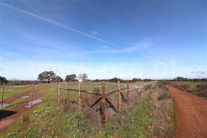Herdade  Odemira, Tisnada - 1459440 - 23