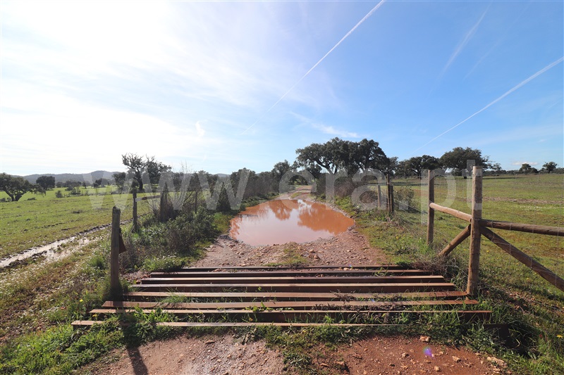 Herdade  Odemira, Tisnada - 1459440 - 26