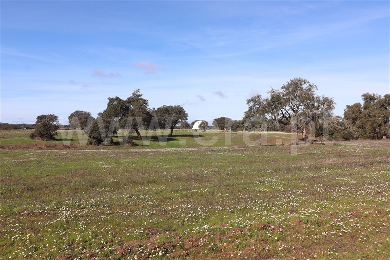Herdade  Odemira, Tisnada - 1459440 - 28