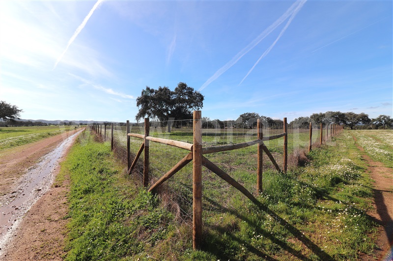 Herdade  Odemira, Tisnada - 1459440 - 29