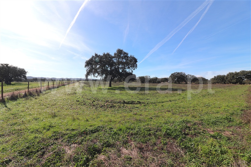 Herdade  Odemira, Tisnada - 1459440 - 30