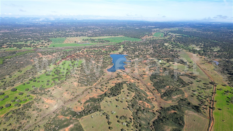 Herdade / Odemira, Colos