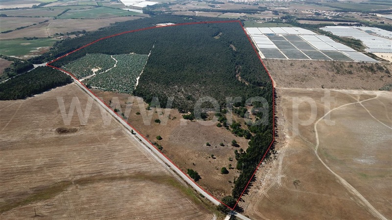 Herdade / Odemira, Longueira/Almograve