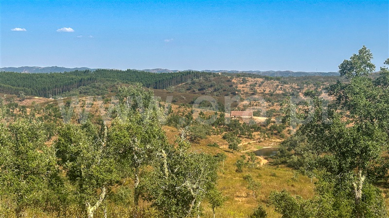 Herdade  Odemira, Luzianes Gare - 1506246 - 16