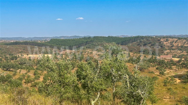 Herdade  Odemira, Luzianes Gare - 1506246 - 17