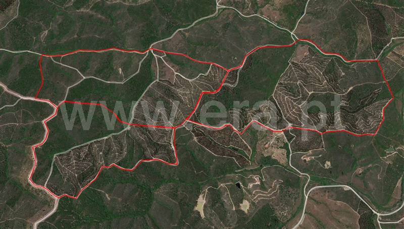 Herdade  Odemira, Pereiras Gare - 1212320 - 14