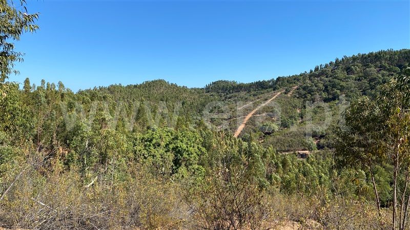 Herdade  Odemira, Pereiras Gare - 1212320 - 17