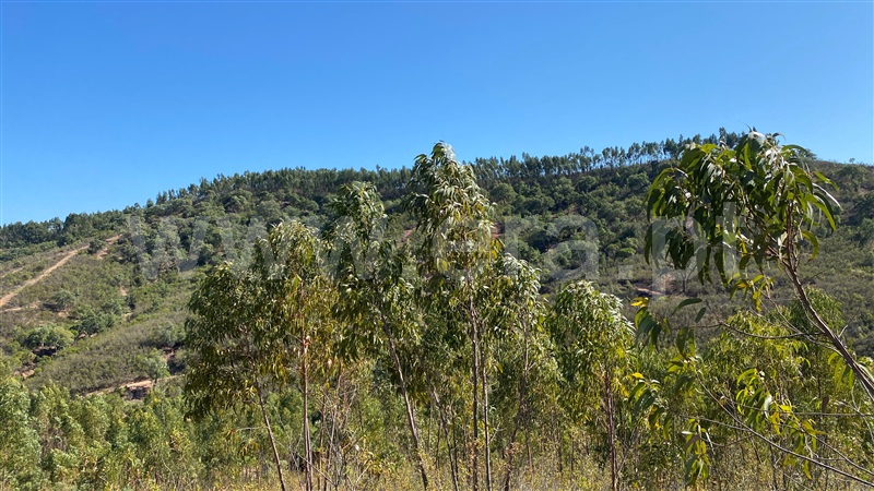 Herdade  Odemira, Pereiras Gare - 1212320 - 18