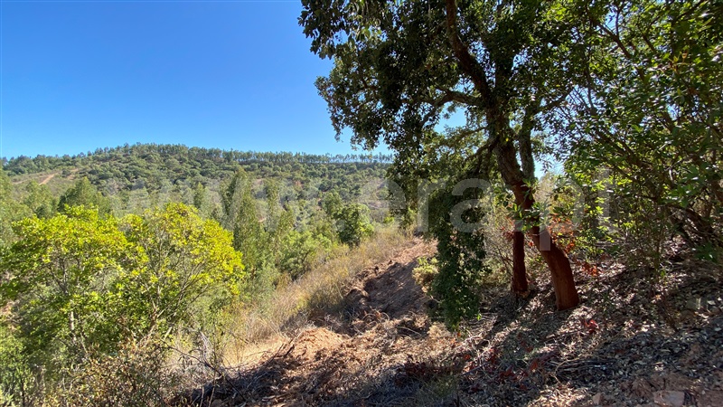 Herdade  Odemira, Pereiras Gare - 1212320 - 15