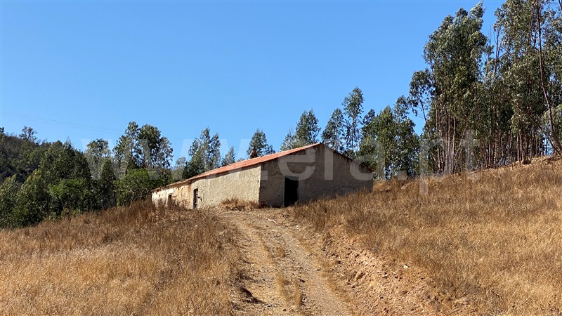 Herdade / Odemira, Pereiras Gare