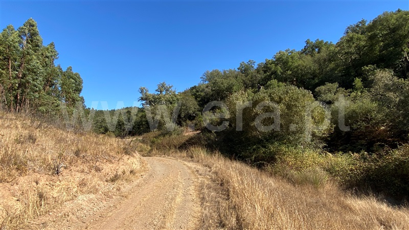 Herdade  Odemira, Pereiras Gare - 1212320 - 16
