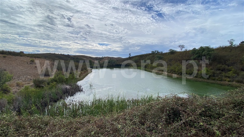 Herdade  Odemira, Pereiras Gare - 571401 - 40