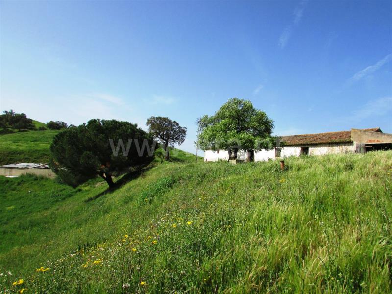 Herdade  Odemira, Pereiras Gare - 571401 - 3