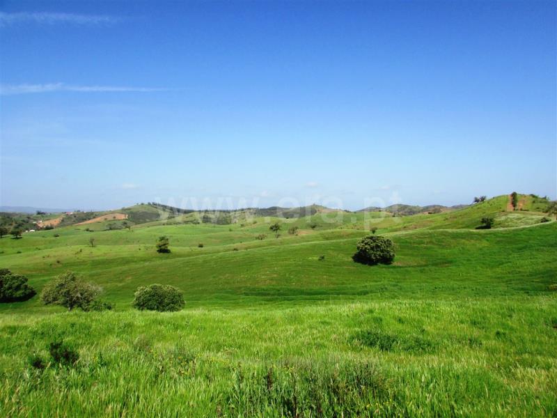 Herdade  Odemira, Pereiras Gare - 571401 - 7