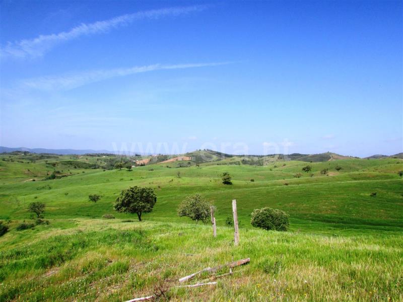 Herdade  Odemira, Pereiras Gare - 571401 - 10