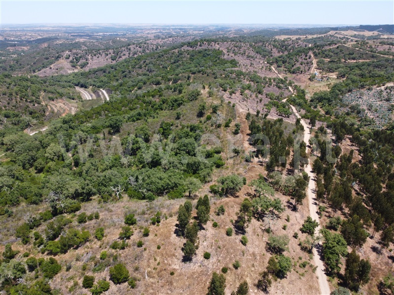Herdade  Odemira, Relíquias - 1181719 - 2