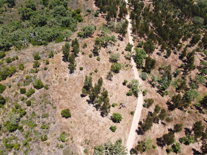 Herdade  Odemira, Relíquias - 1181719 - 3